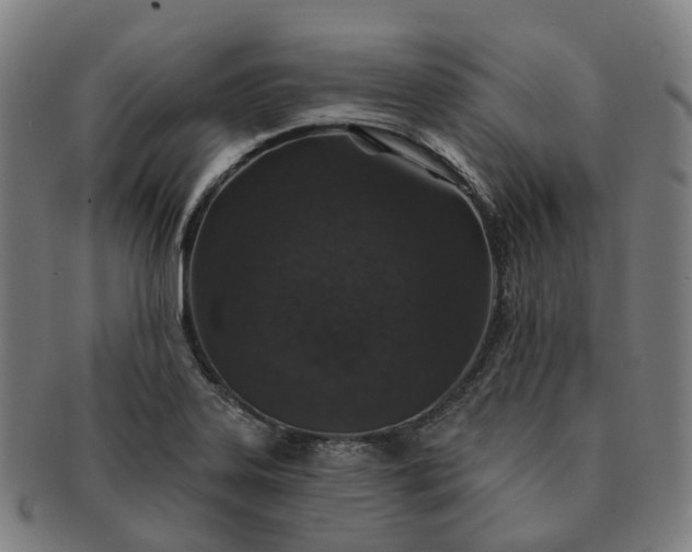 X0000091311323200708241105