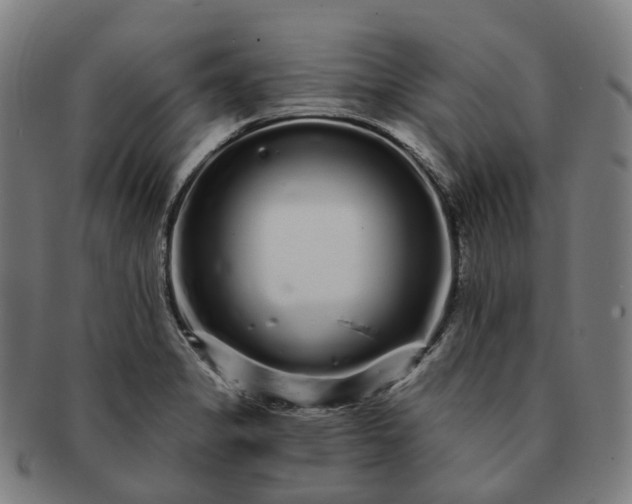 X0000091311325200708241105