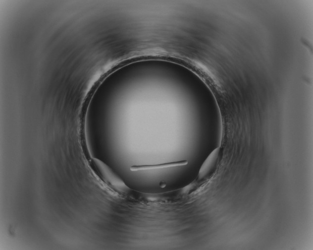 X0000091311326200708241105