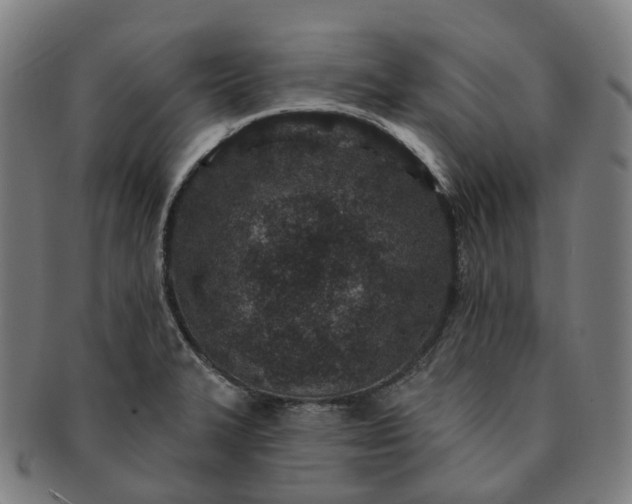 X0000091311327200708241105