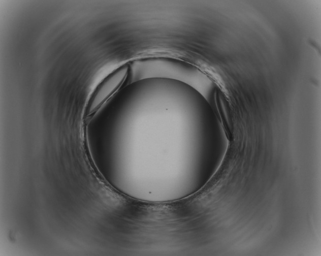 X0000091311328200708241105