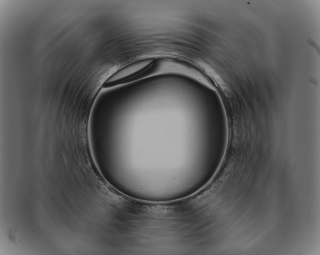 X0000091311329200708241105