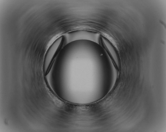 X0000091311330200708241105