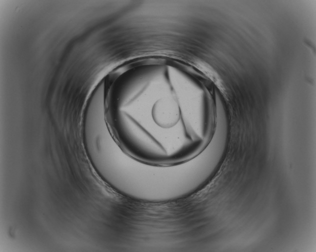 X0000091311332200708241105