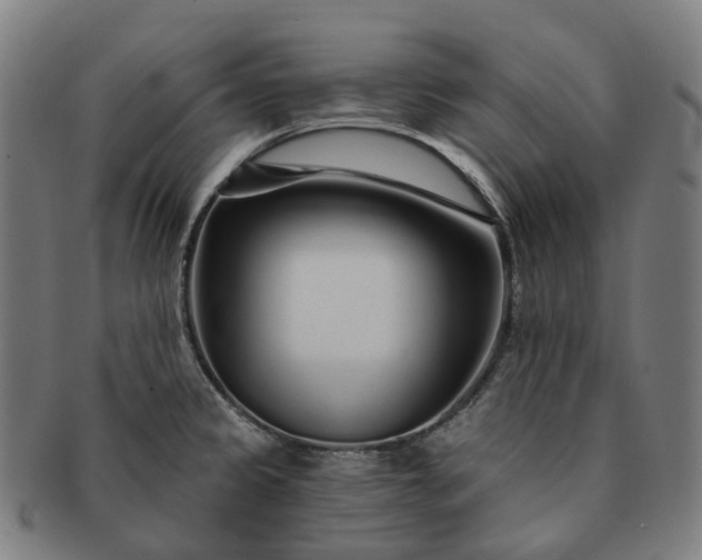 X0000091311333200708241105