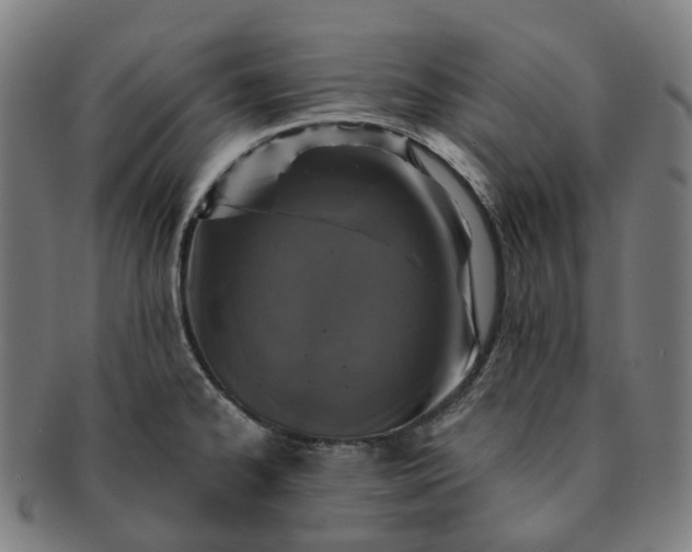 X0000091311334200708241105