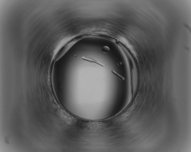 X0000091311336200708241105