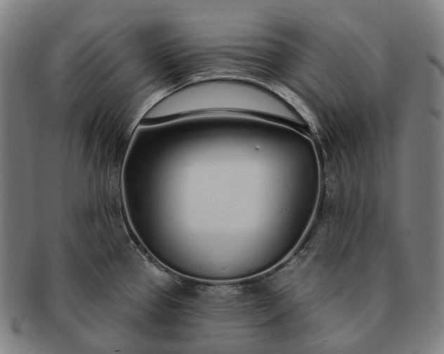 X0000091311337200708241105