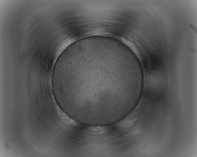 X0000091311338200708241105