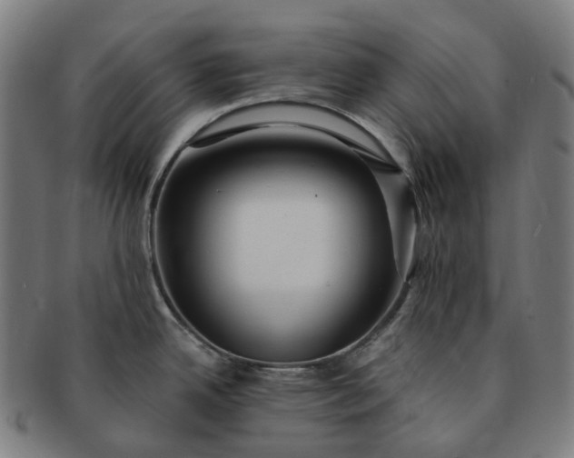 X0000091311342200708241105