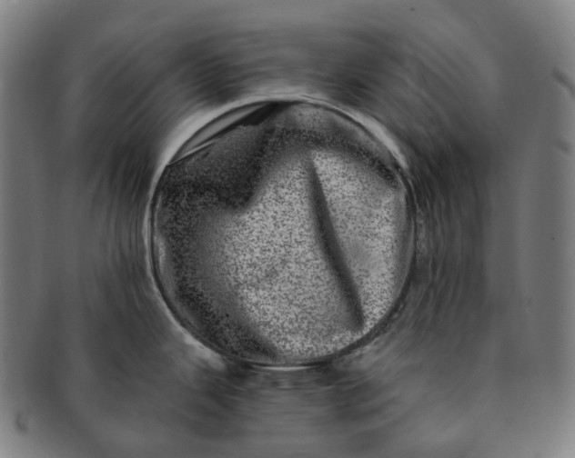 X0000091311343200708241105