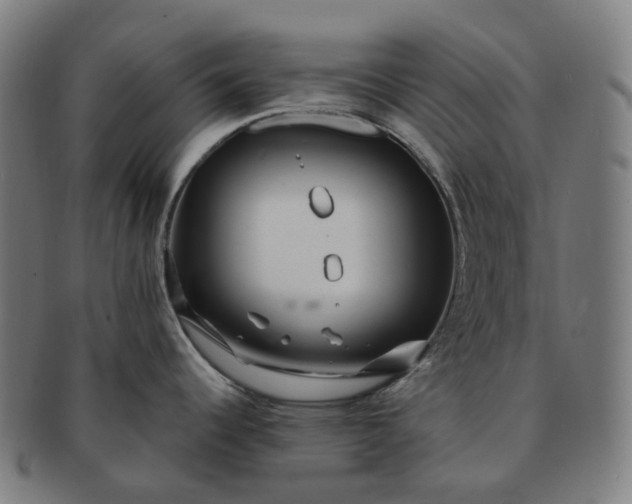 X0000091311344200708241105