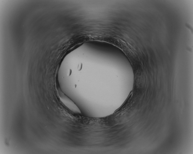 X0000091311345200708241104