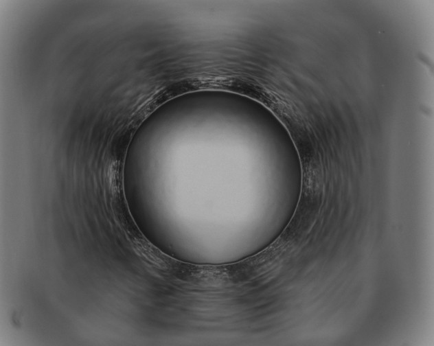 X0000091311346200708241104