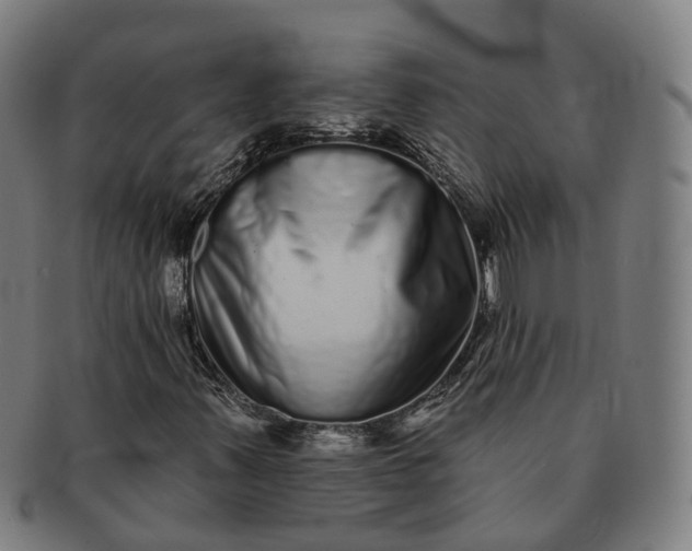 X0000091311347200708241104