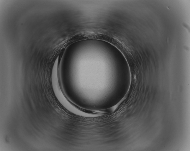 X0000091311348200708241104