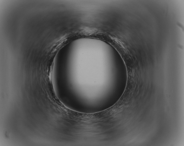 X0000091311349200708241104