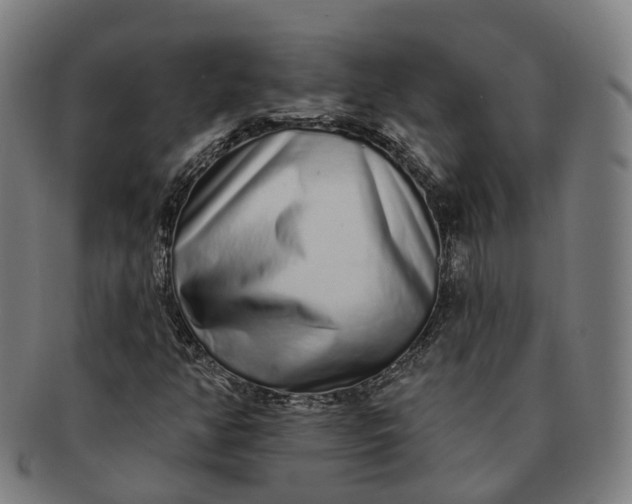 X0000091311350200708241104