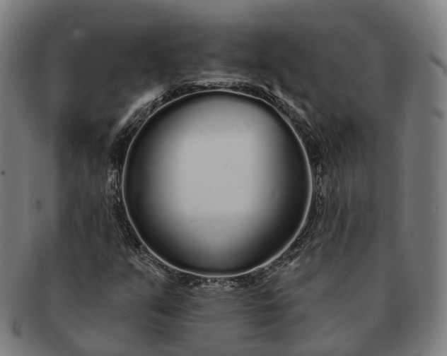 X0000091311351200708241104