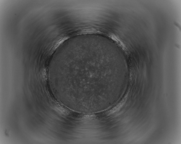 X0000091311353200708241104