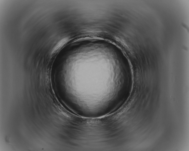 X0000091311354200708241104