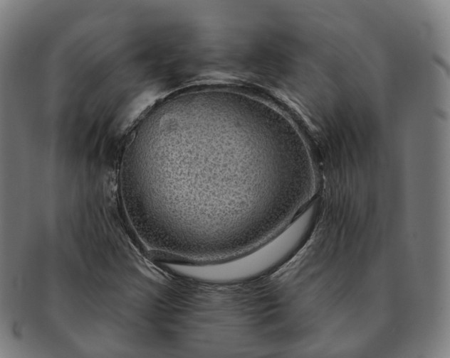 X0000091311355200708241104