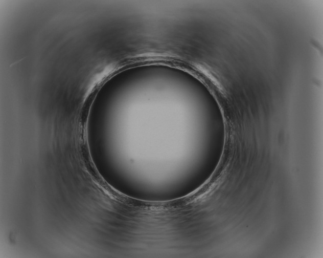 X0000091311357200708241104