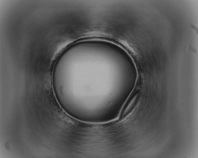 X0000091311358200708241104