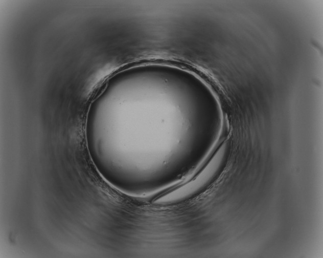 X0000091311359200708241104