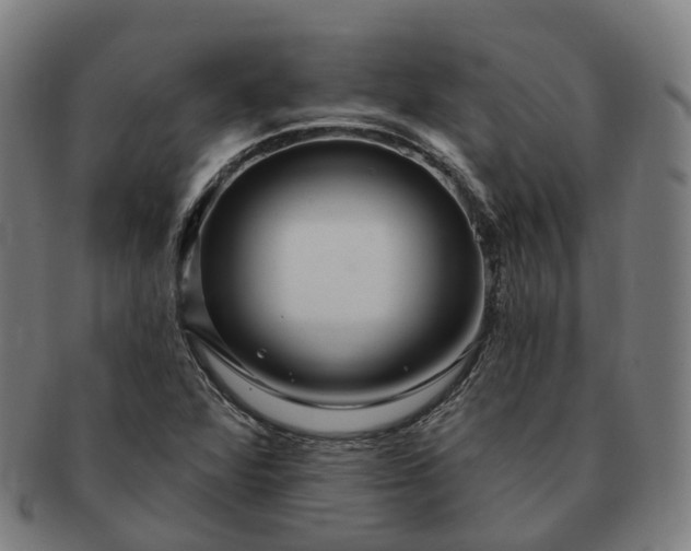 X0000091311360200708241104