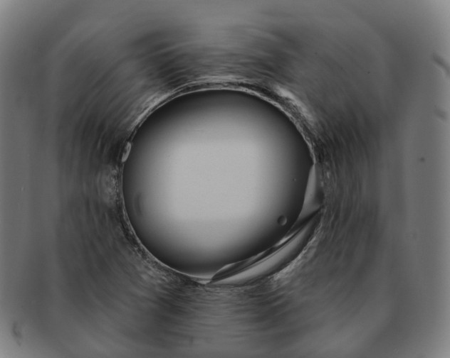 X0000091311361200708241104