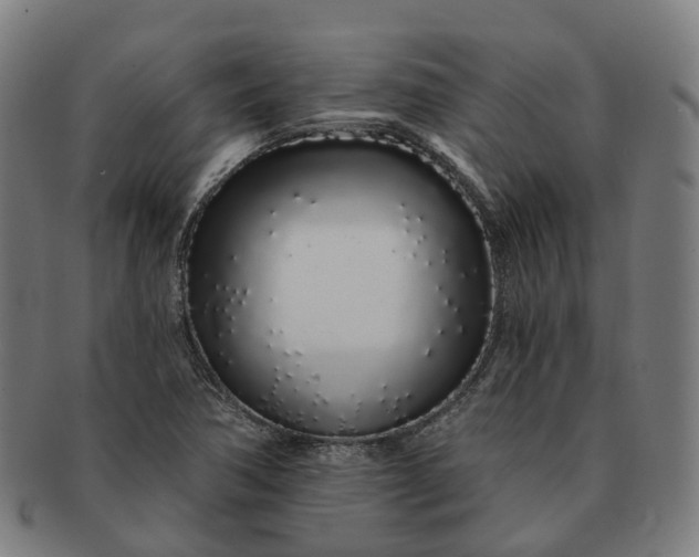 X0000091311362200708241104