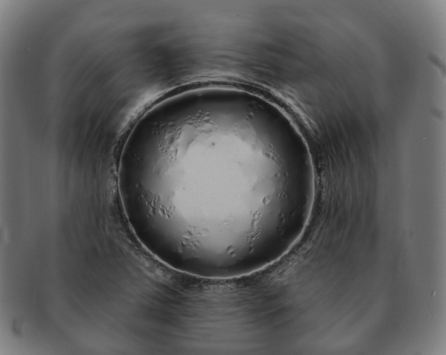 X0000091311363200708241104