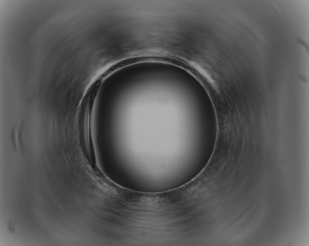 X0000091311364200708241104