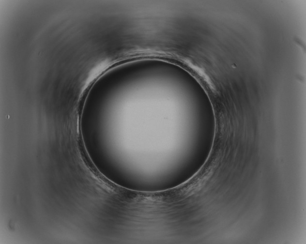 X0000091311365200708241104