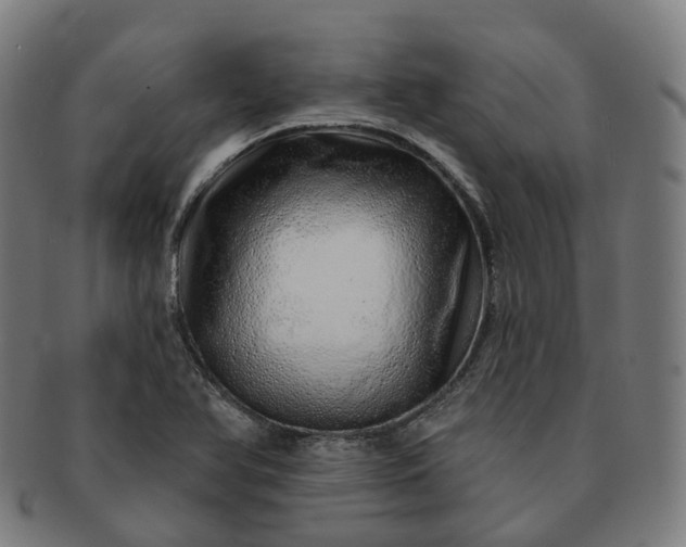 X0000091311366200708241104