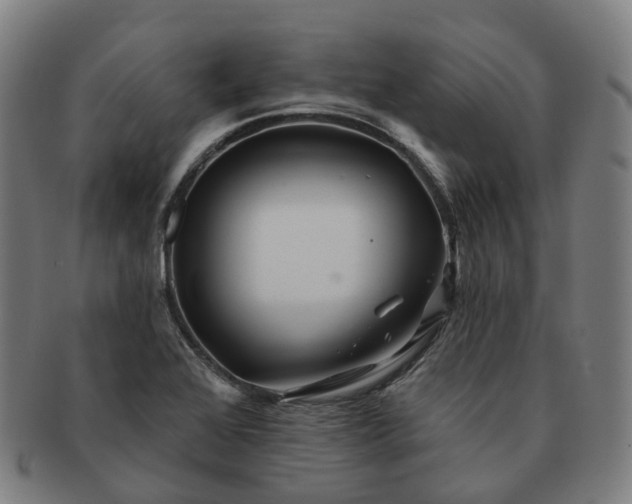 X0000091311368200708241104