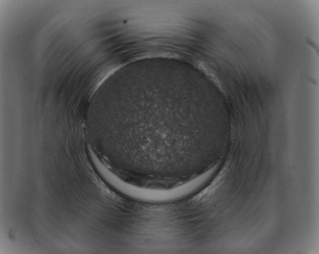 X0000091311369200708241104