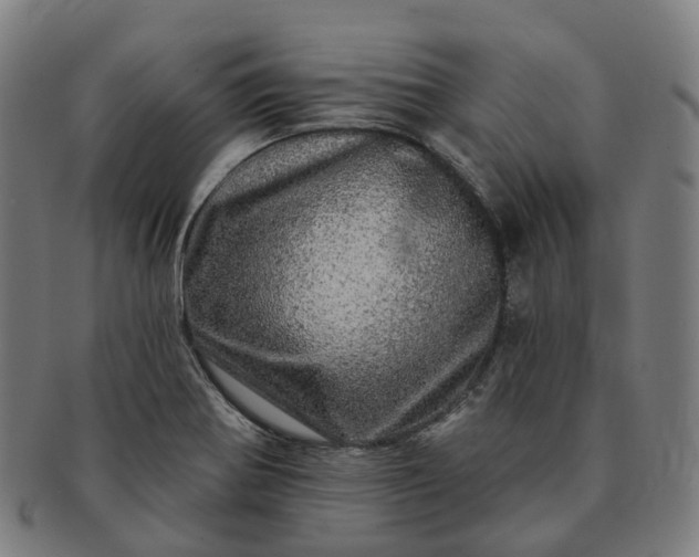 X0000091311370200708241104