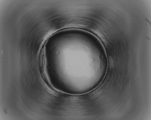 X0000091311371200708241104