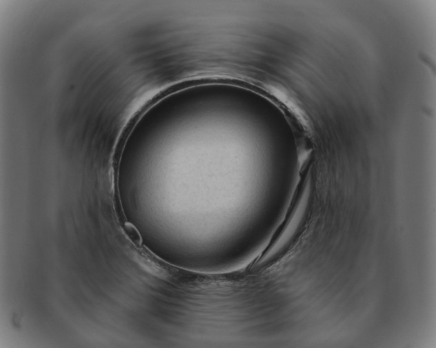 X0000091311372200708241104