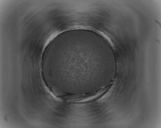 X0000091311373200708241104