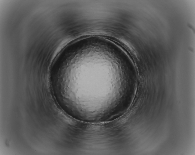 X0000091311374200708241104