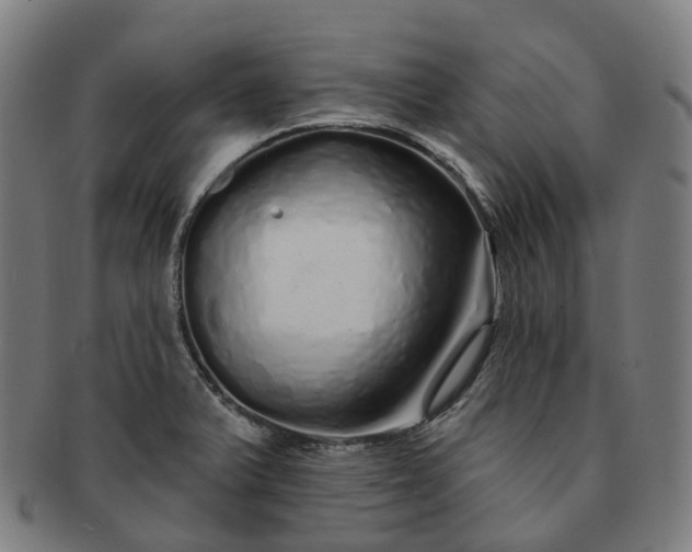 X0000091311375200708241104