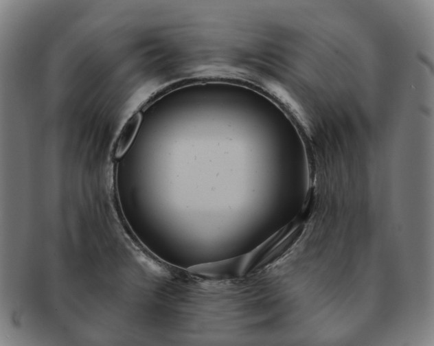 X0000091311376200708241104