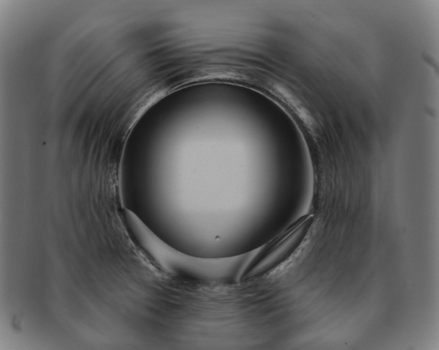 X0000091311377200708241104