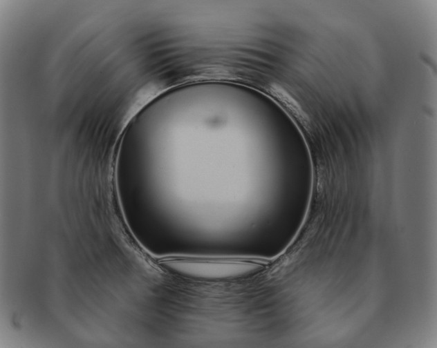 X0000091311378200708241104