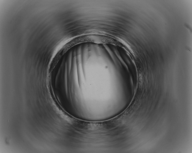 X0000091311379200708241104