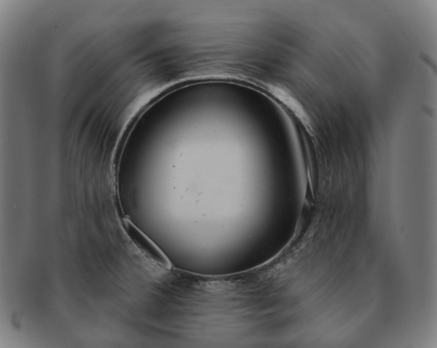 X0000091311380200708241104