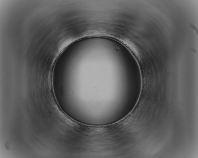 X0000091311382200708241104